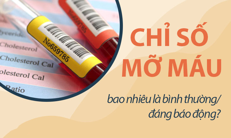 Chỉ số mỡ máu bao nhiêu là đáng báo động?