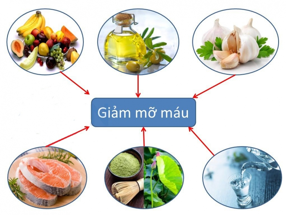 Mỡ máu cao nên ăn gì để cải thiện